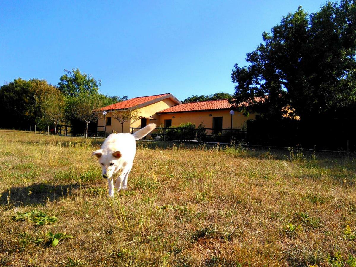 Agriturismo Radovic Villa Aurisina Eksteriør bilde